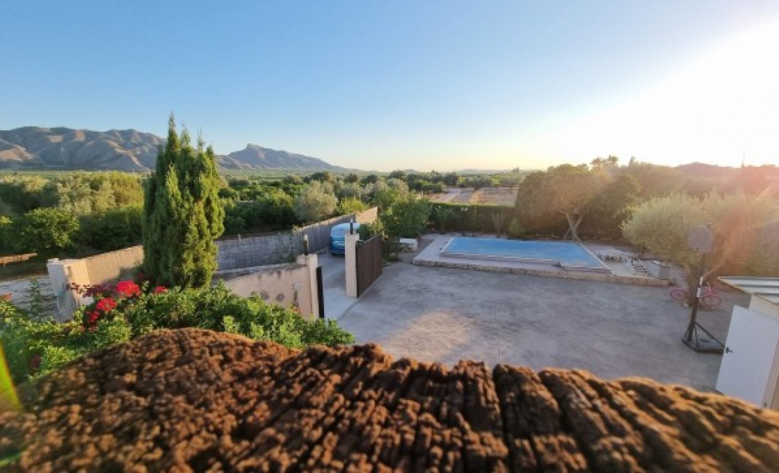 2 Chambres, Finca, À Vendre, 1 Salles de bain, Listing ID 2628, ORIHUELA, ALICANTE, Espagne,