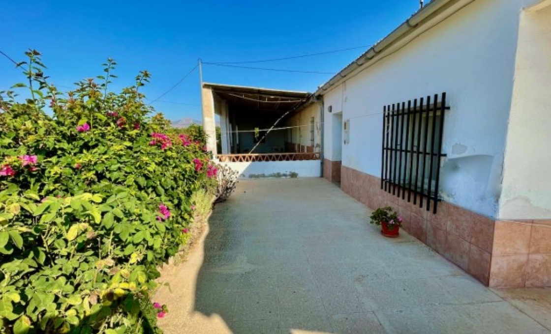 3 Chambres, Finca, À Vendre, 1 Salles de bain, Listing ID 2629, LA MURADA, ALICANTE, Espagne,