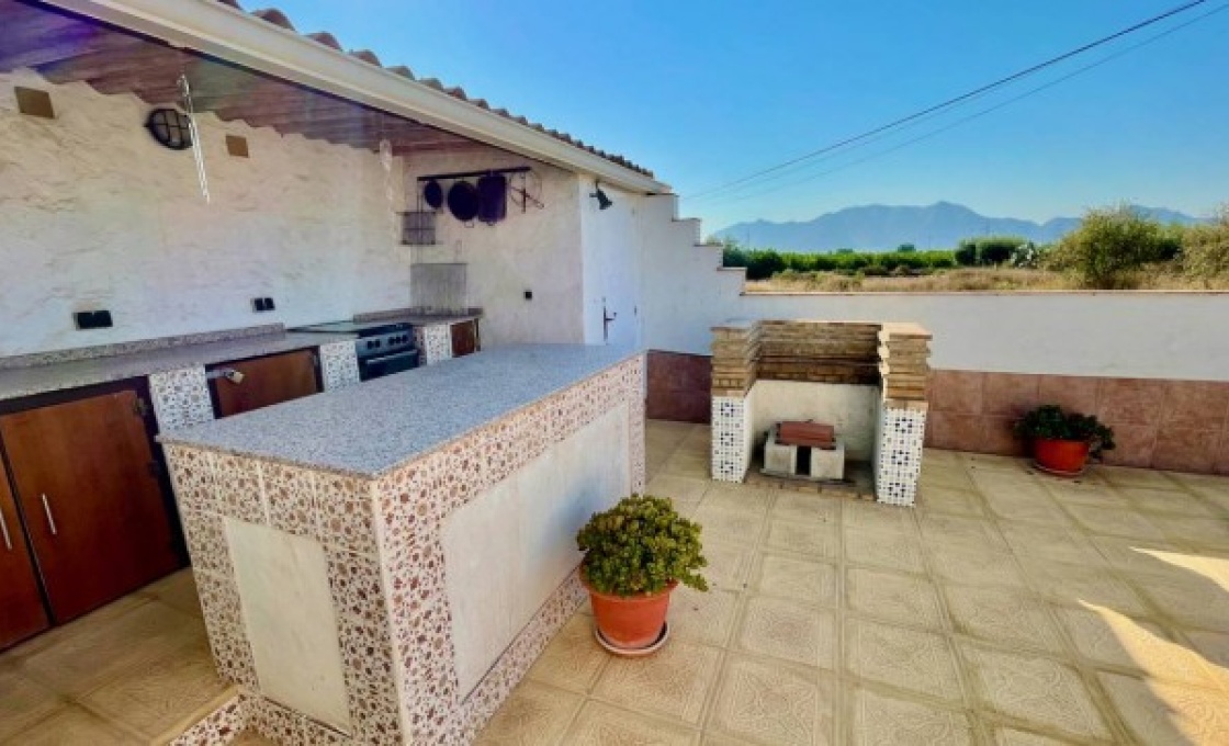 3 Chambres, Finca, À Vendre, 1 Salles de bain, Listing ID 2629, LA MURADA, ALICANTE, Espagne,