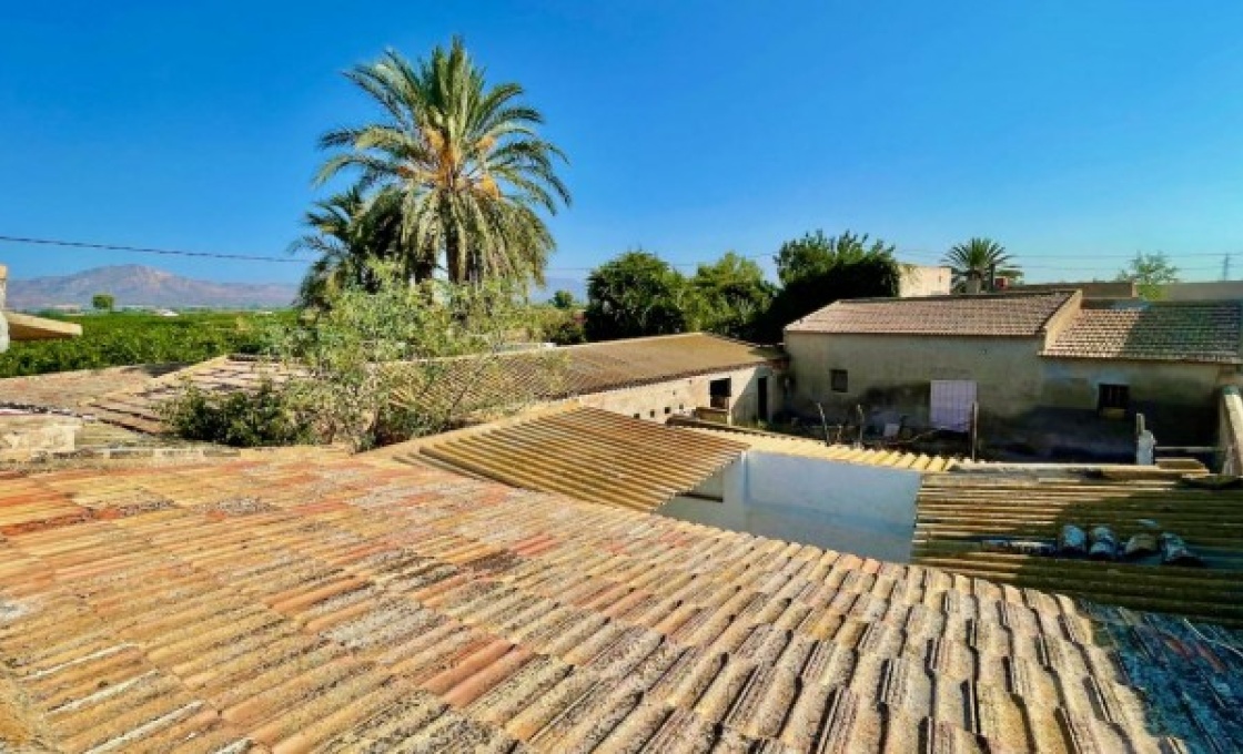 3 Chambres, Finca, À Vendre, 1 Salles de bain, Listing ID 2629, LA MURADA, ALICANTE, Espagne,