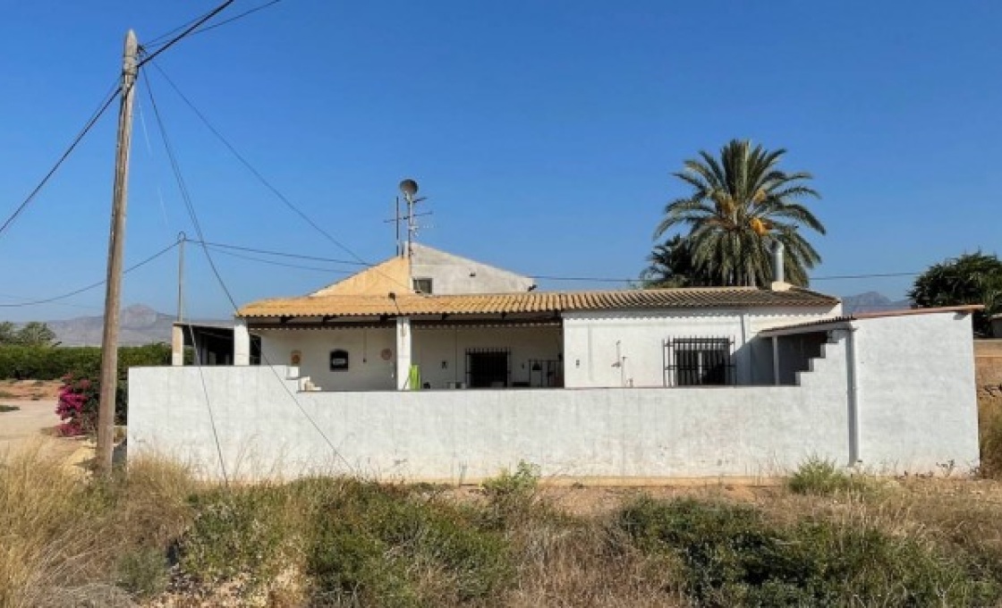 3 Chambres, Finca, À Vendre, 1 Salles de bain, Listing ID 2629, LA MURADA, ALICANTE, Espagne,