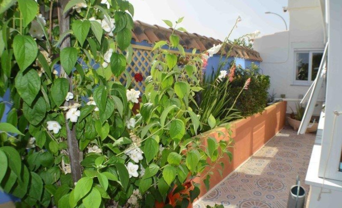 4 Chambres, Villa, À Vendre, 2 Salles de bain, Listing ID 2646, PUNTA PRIMA, ALICANTE, Espagne,